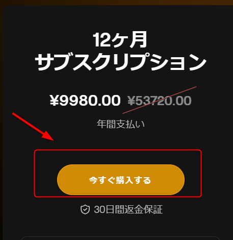 Luminar Neoクーポン使い方1