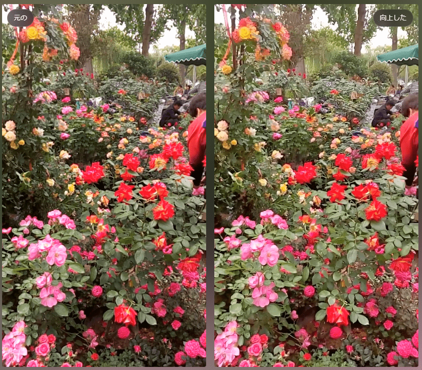 Fotor動画の高画質化―効果比較