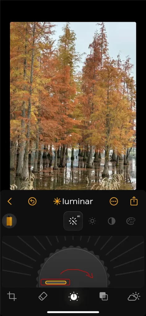 Luminar Mobile使い方 - 補正AI