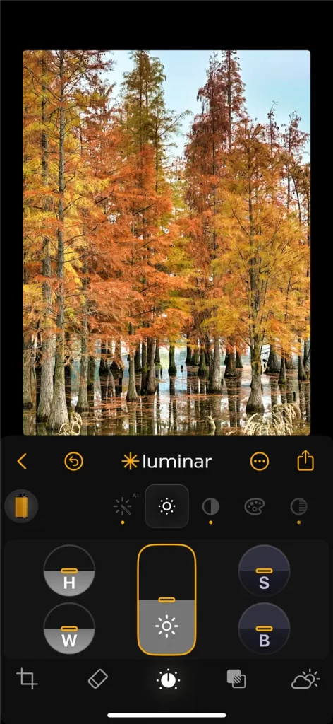 Luminar Mobile使い方 - 現象