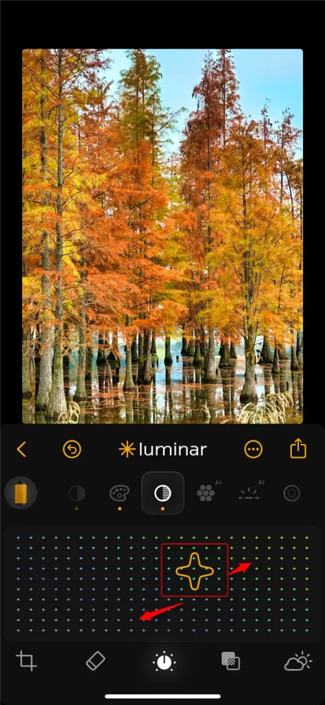 Luminar Mobile使い方 - 彩度