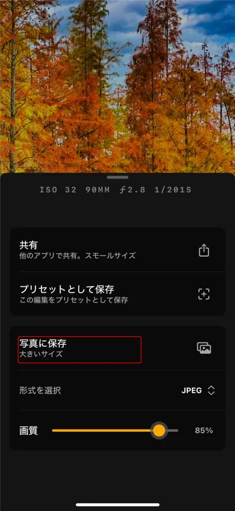 Luminar Mobile使い方 - 写真を保存