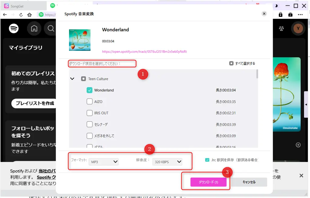 SongGetでSpotifyの音楽をダウンロード-4
