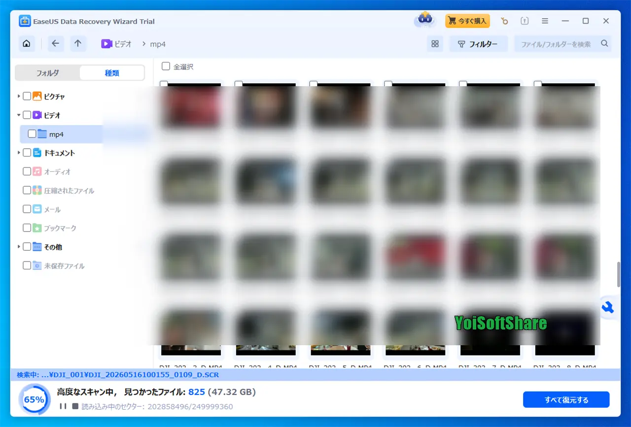 EaseUS Data Recovery WizardのSDカードのスキャン結果