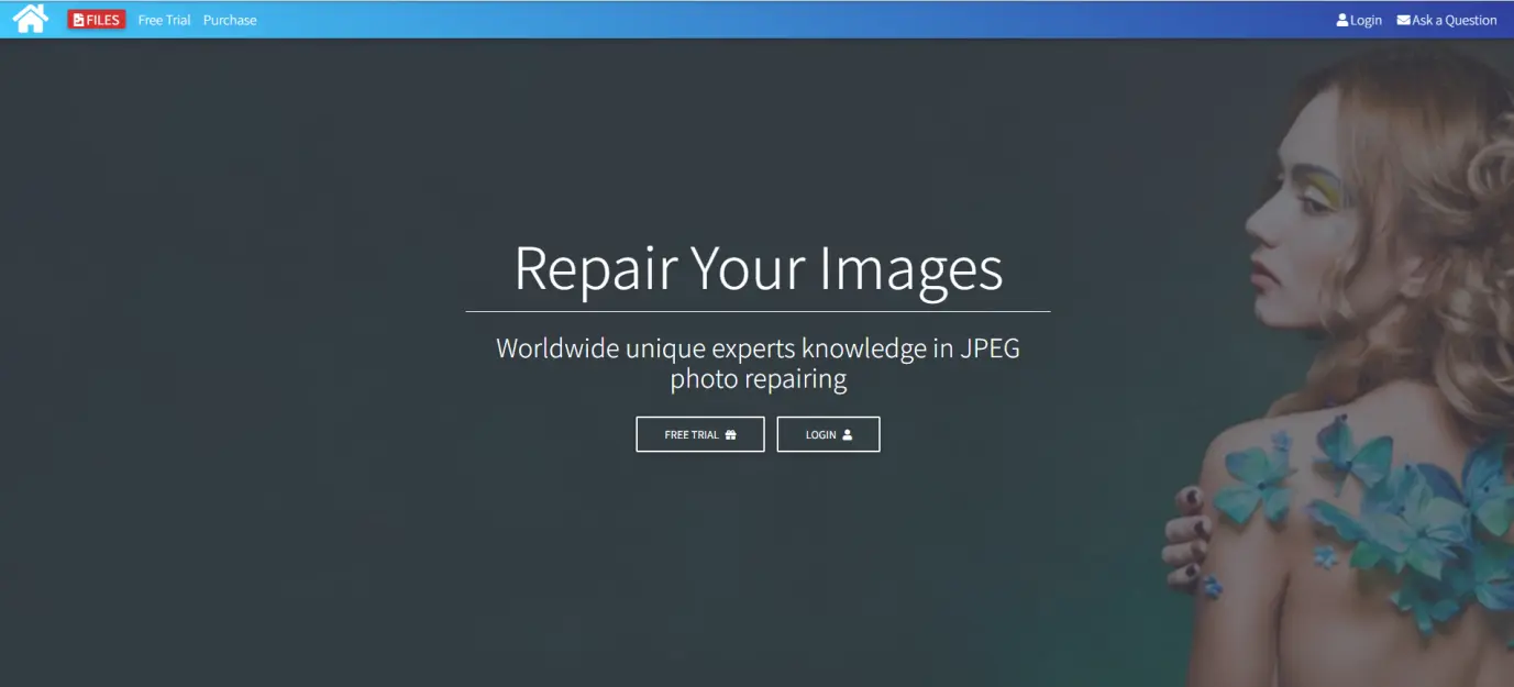 VG JPEG Repair Onlineメイン画面